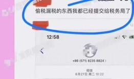 舒畅爆料偷税漏税视频,视频曝光行业乱象
