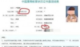 紫牛新闻爆料渠道,揭秘幕后真相，带你走进事件核心